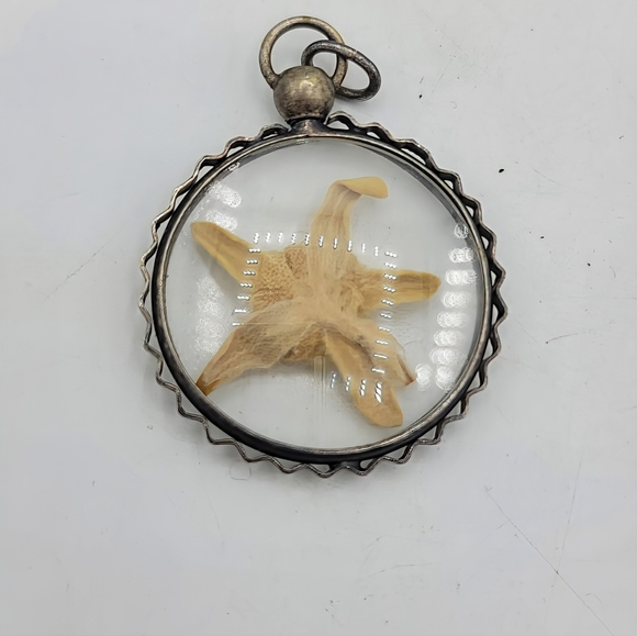 Vintage Lucite Starfish Pendant Domed Encased Specimen Silver Tone 1970s - Picture 6 of 9